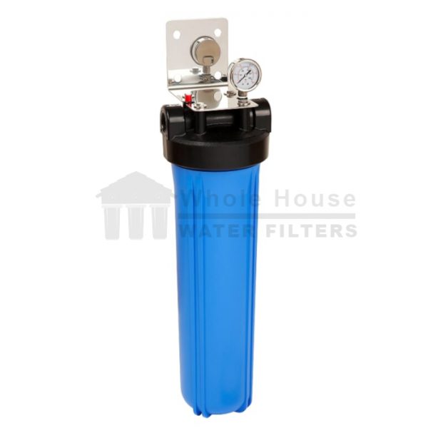 "single big blue whole house water filter system 20 inch"
